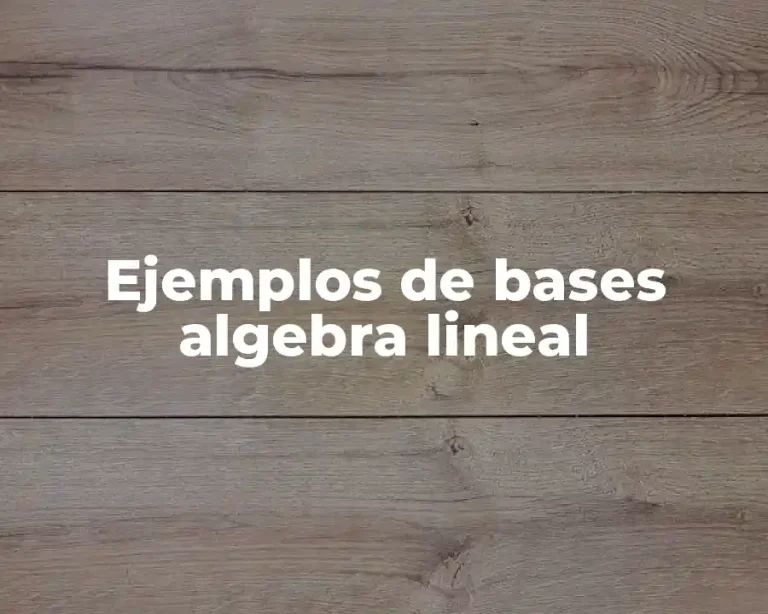 Ejemplos de bases algebra lineal