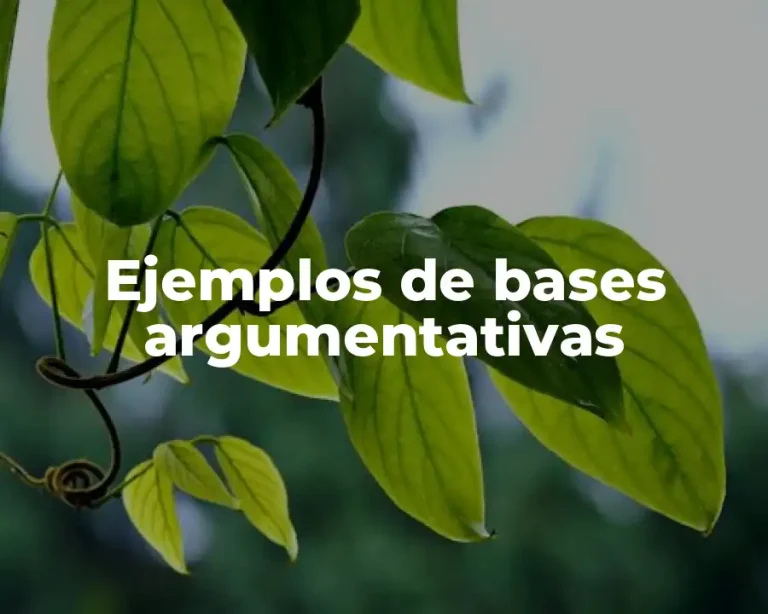 Ejemplos de bases argumentativas