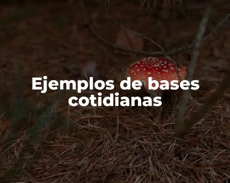 Ejemplos de bases cotidianas