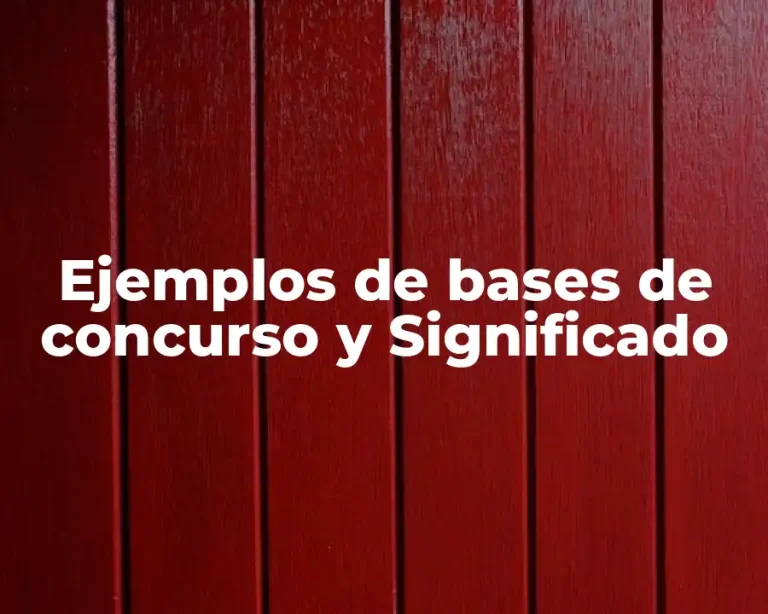 Ejemplos de bases de concurso y Significado
