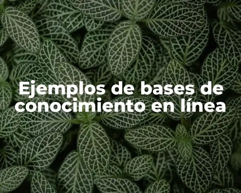 Ejemplos de bases de conocimiento en línea