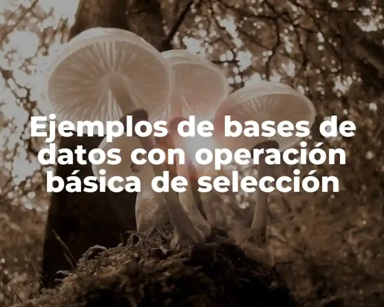 Ejemplos de bases de datos con operación básica de selección