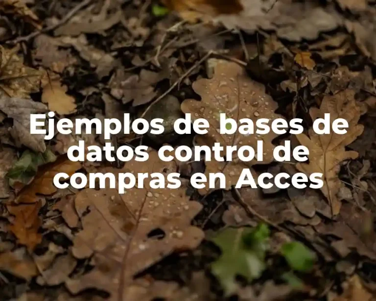 Ejemplos de bases de datos control de compras en Acces
