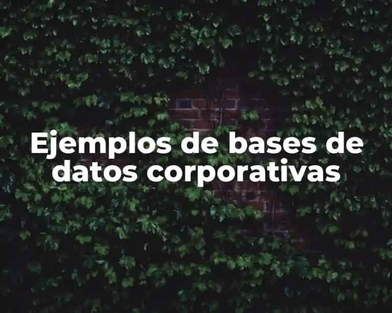 Ejemplos de bases de datos corporativas