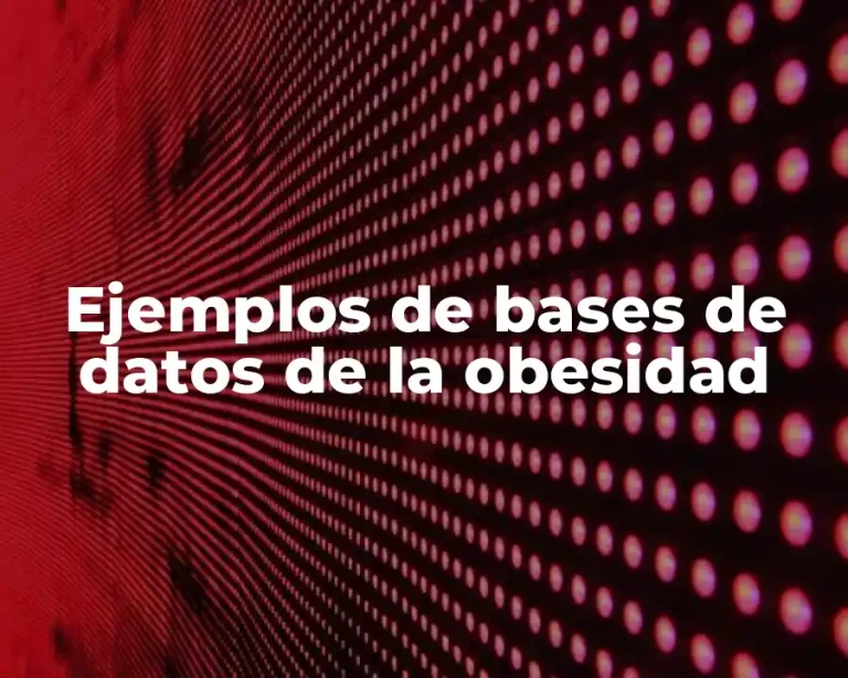 Ejemplos de bases de datos de la obesidad