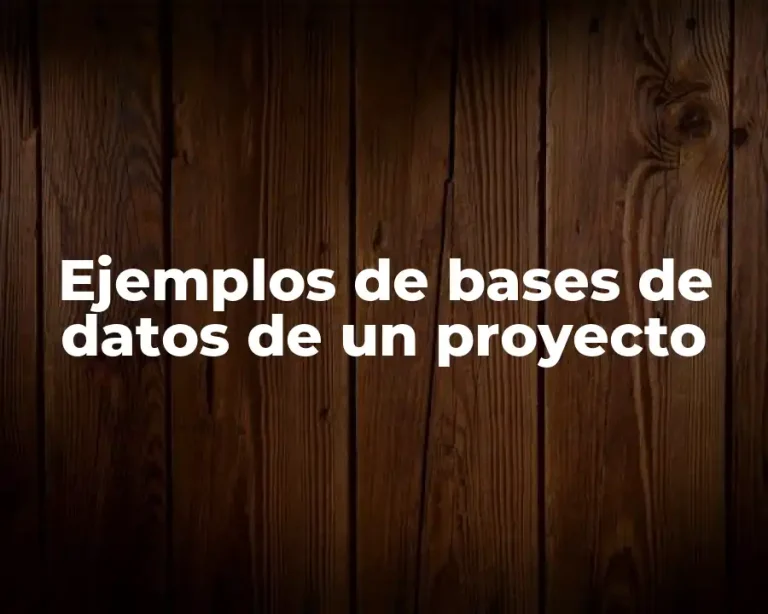 Ejemplos de bases de datos de un proyecto