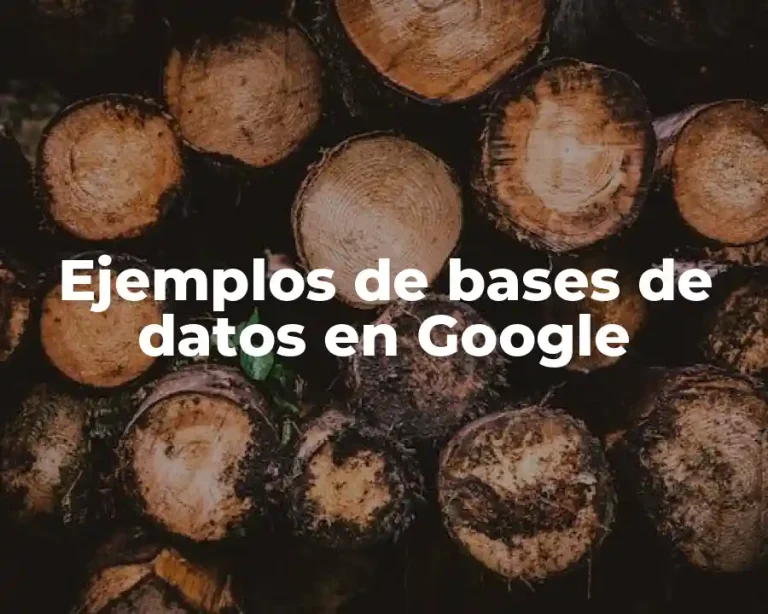 Ejemplos de bases de datos en Google