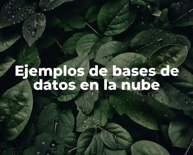 Ejemplos de bases de datos en la nube