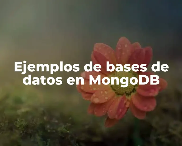 Ejemplos de bases de datos en MongoDB