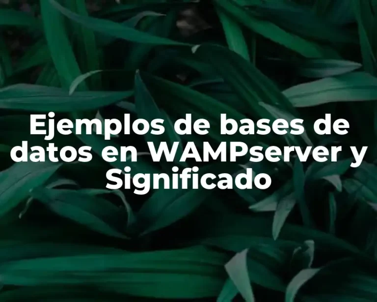 Ejemplos de bases de datos en WAMPserver y Significado
