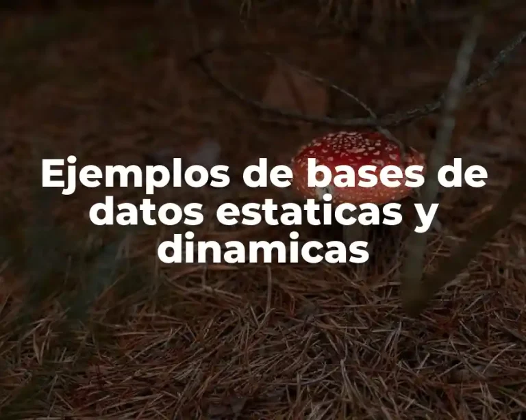 Ejemplos de bases de datos estaticas y dinamicas