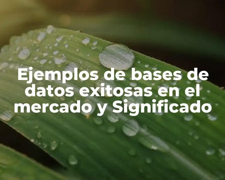 Ejemplos de bases de datos exitosas en el mercado y Significado