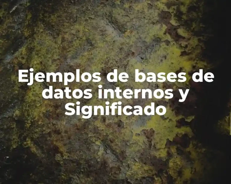 Ejemplos de bases de datos internos y Significado