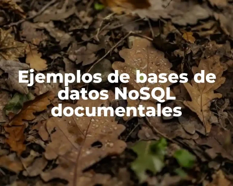 Ejemplos de bases de datos NoSQL documentales