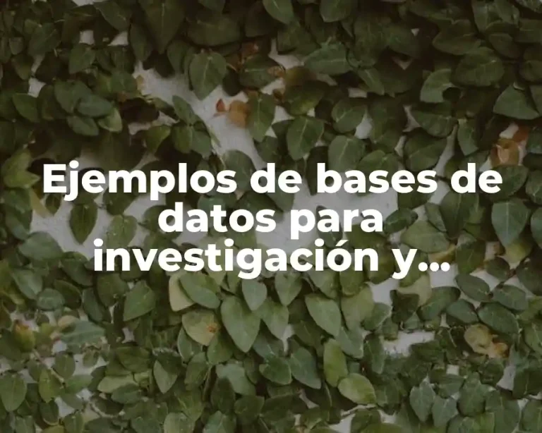 Ejemplos de bases de datos para investigación y Significado