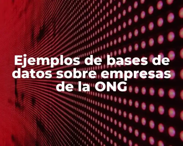 Ejemplos de bases de datos sobre empresas de la ONG