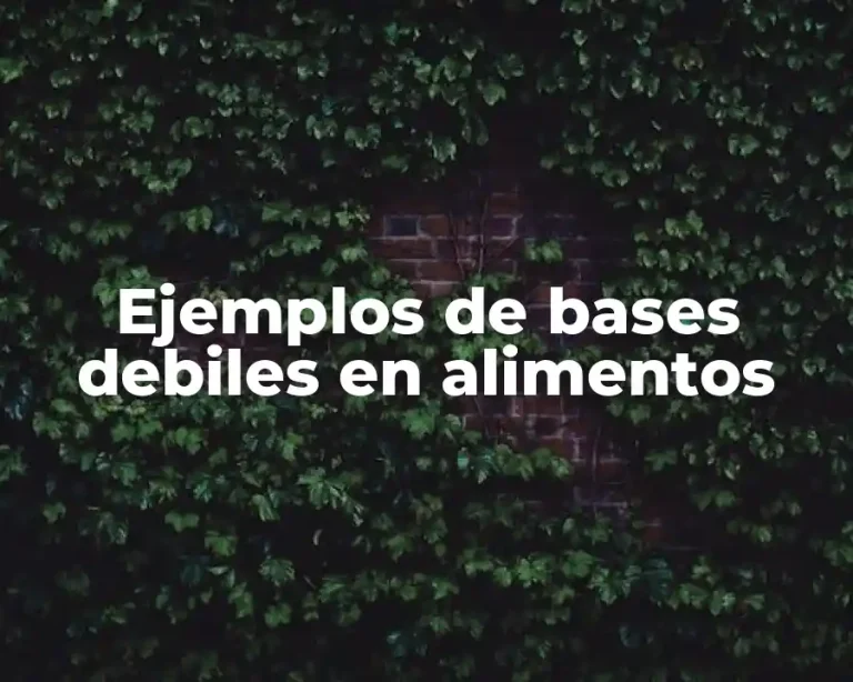 Ejemplos de bases debiles en alimentos