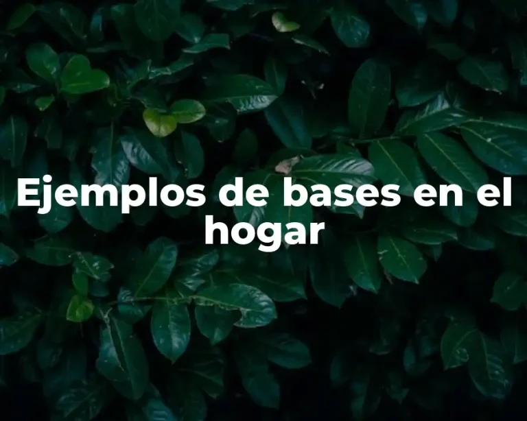 Ejemplos de bases en el hogar