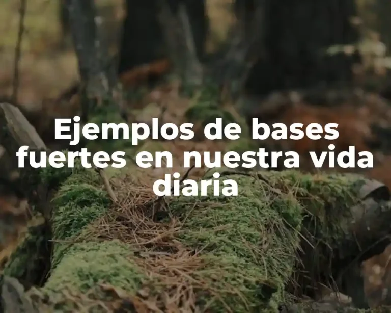 Ejemplos de bases fuertes en nuestra vida diaria