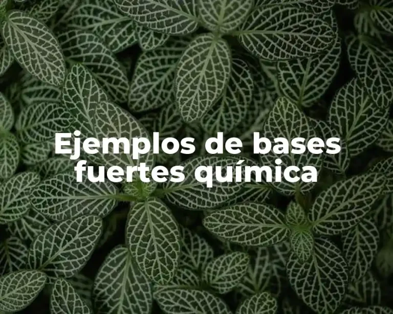 Ejemplos de bases fuertes química