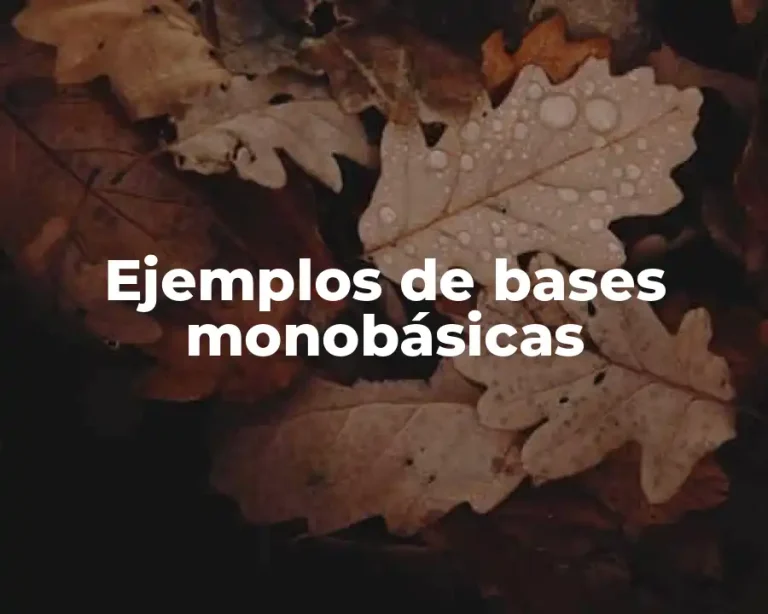 Ejemplos de bases monobásicas