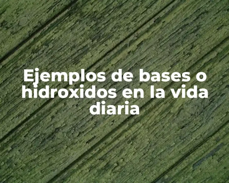 Ejemplos de bases o hidroxidos en la vida diaria