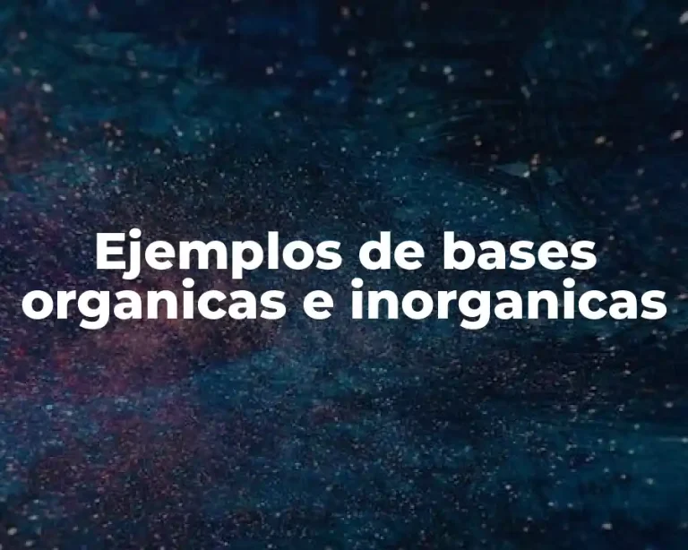 Ejemplos de bases organicas e inorganicas