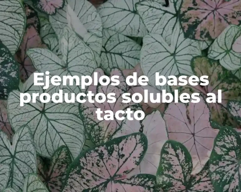 Ejemplos de bases productos solubles al tacto