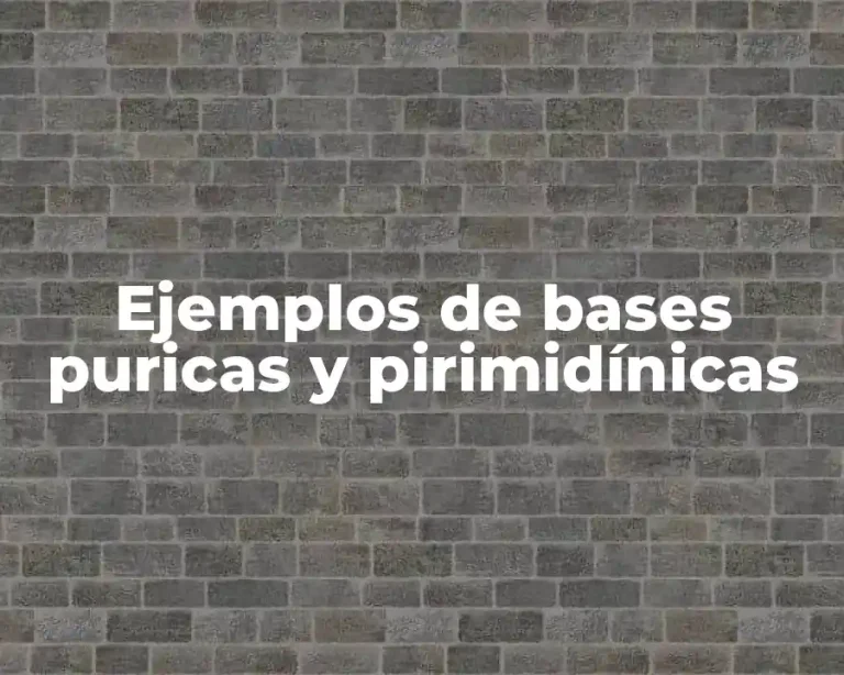 Ejemplos de bases puricas y pirimidínicas