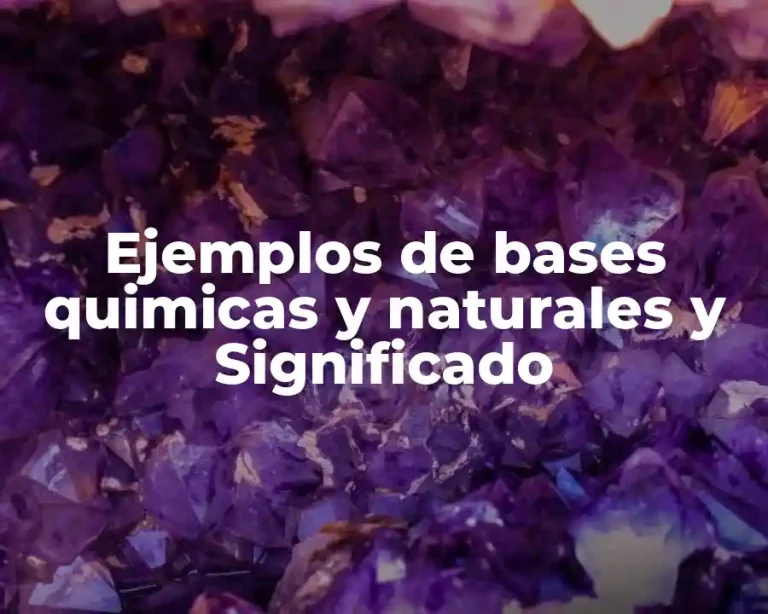 Ejemplos de bases quimicas y naturales y Significado