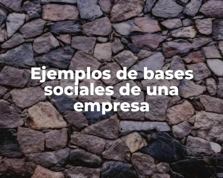 Ejemplos de bases sociales de una empresa
