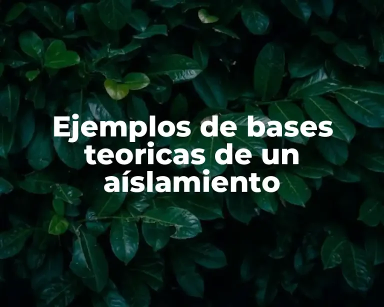 Ejemplos de bases teoricas de un aíslamiento