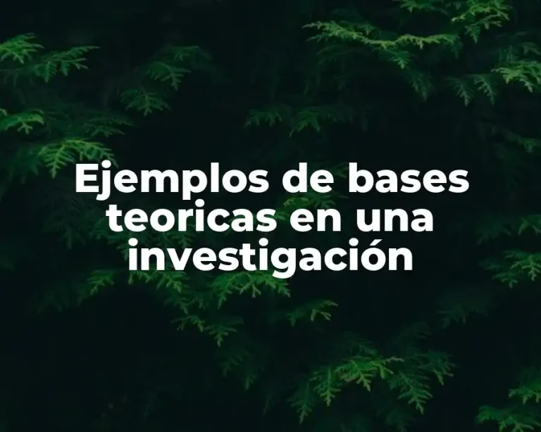 Ejemplos de bases teoricas en una investigación