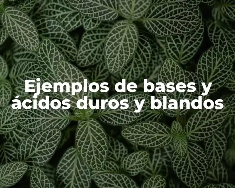 Ejemplos de bases y ácidos duros y blandos