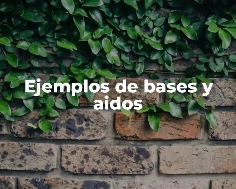 Ejemplos de bases y aidos