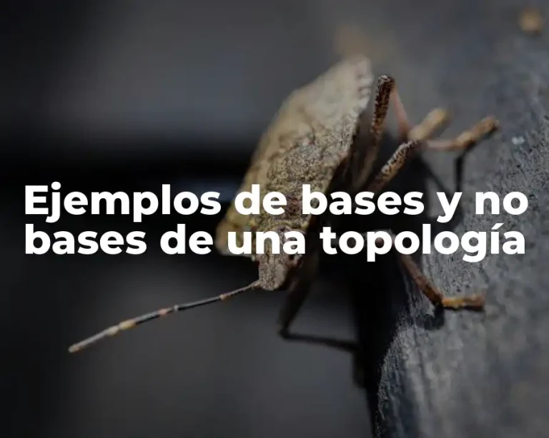 Ejemplos de bases y no bases de una topología