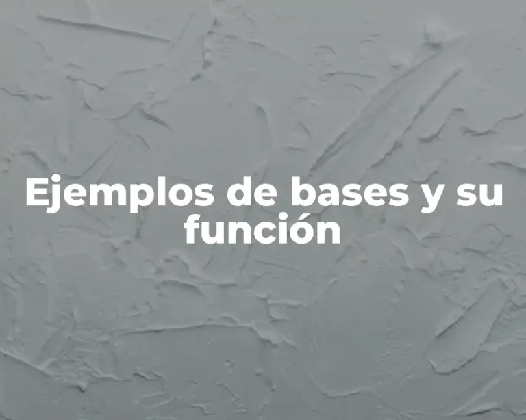 Ejemplos de bases y su función