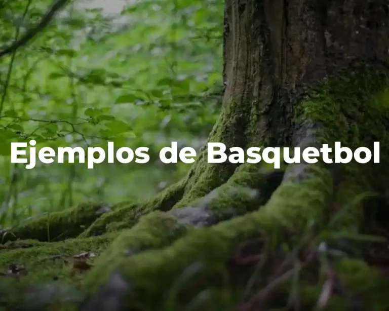 Ejemplos de Basquetbol