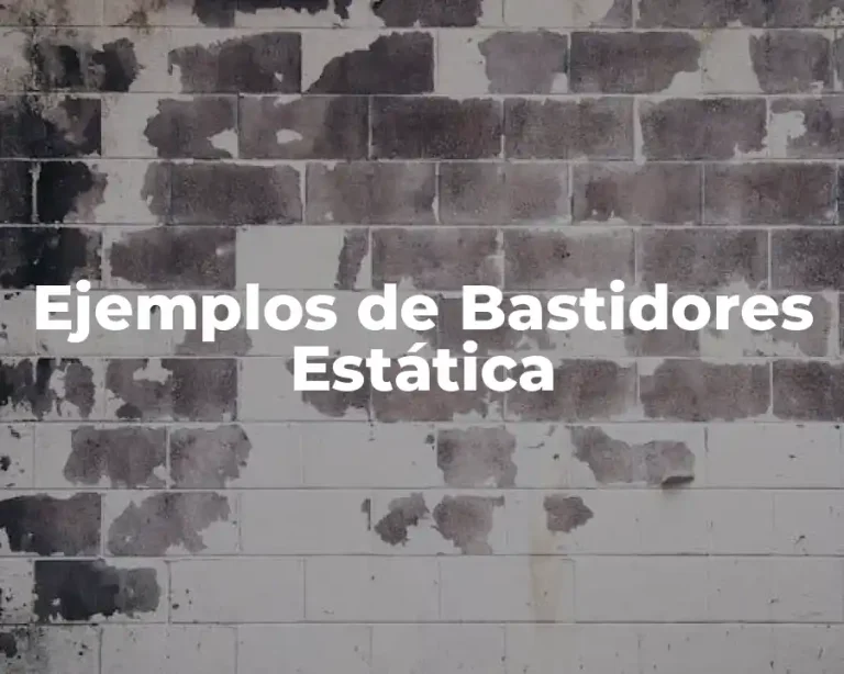 Ejemplos de Bastidores Estática