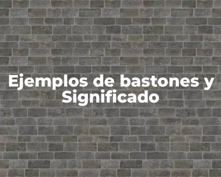 Ejemplos de bastones y Significado