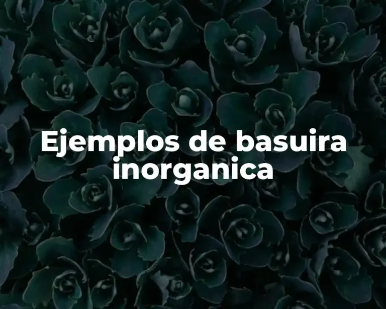 Ejemplos de basuira inorganica