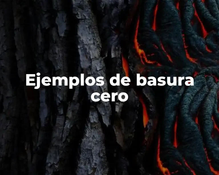 Ejemplos de basura cero