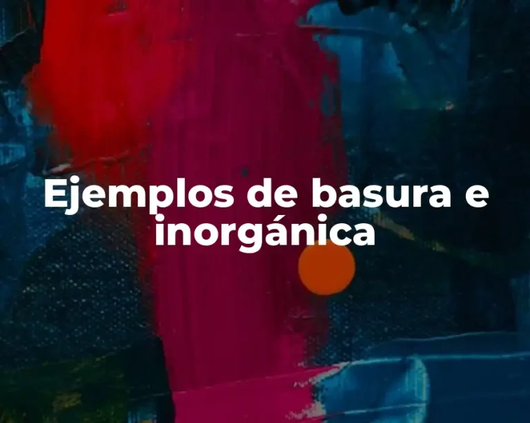 Ejemplos de basura e inorgánica