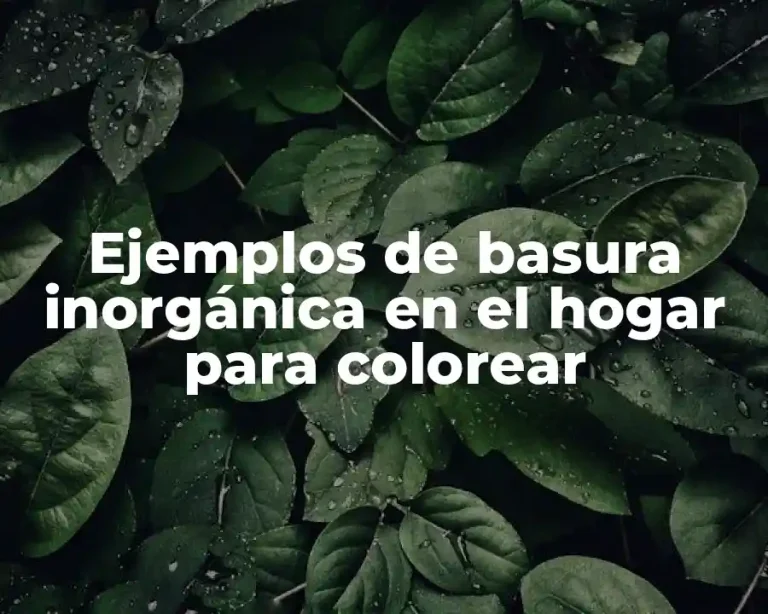 Ejemplos de basura inorgánica en el hogar para colorear