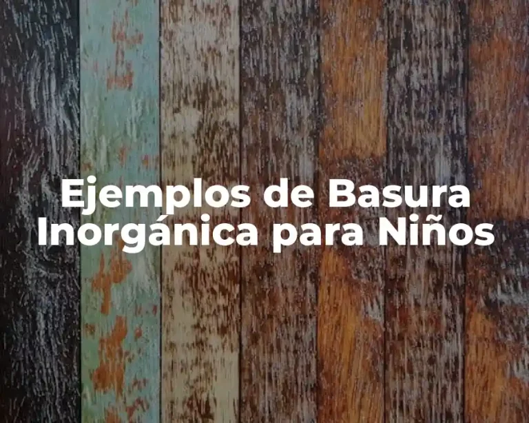 Ejemplos de Basura Inorgánica para Niños