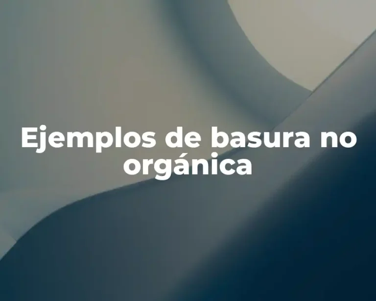 Ejemplos de basura no orgánica