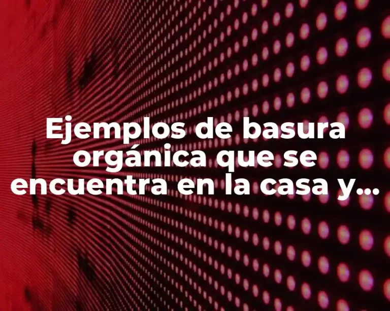 Ejemplos de basura orgánica que se encuentra en la casa y Significado