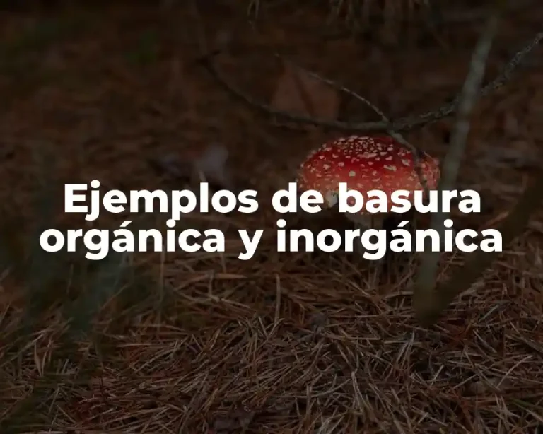 Ejemplos de basura orgánica y inorgánica