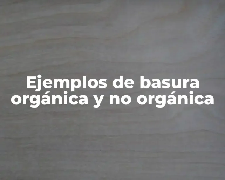 Ejemplos de basura orgánica y no orgánica