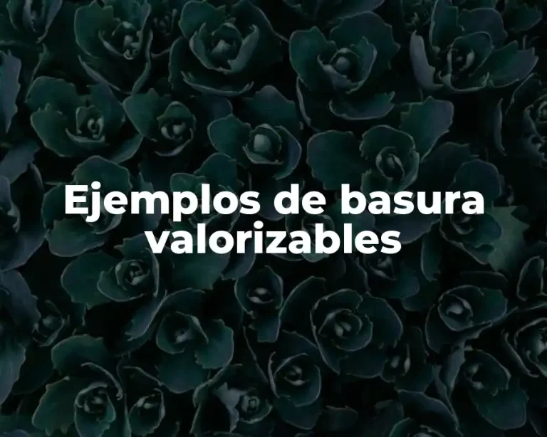 Ejemplos de basura valorizables